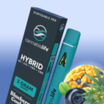 CannabisLife 3g Disposable Best THC Vapes