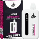 Watermelon Ice 2000mg Disposable Vape Pen