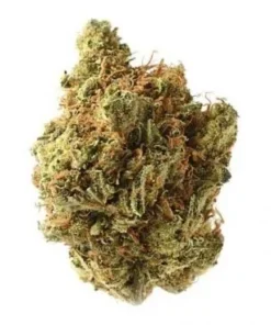 Amnesia Haze