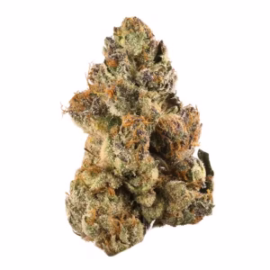Gelato 33
