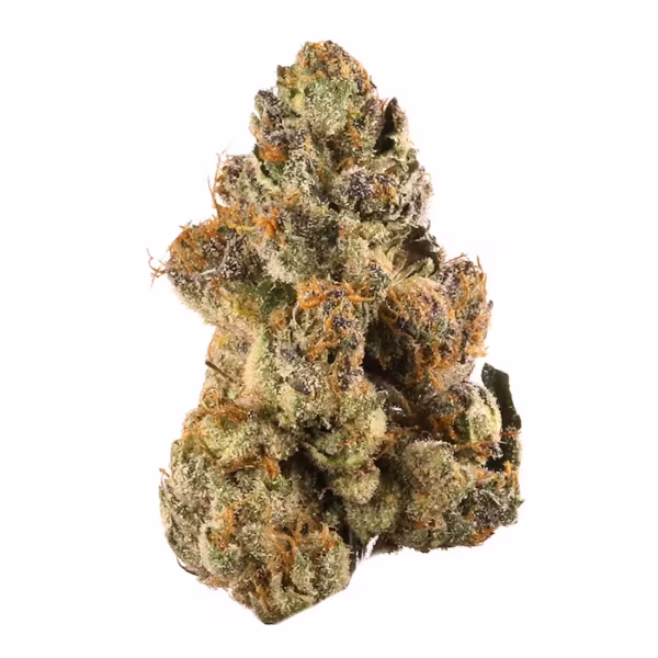 Gelato 33