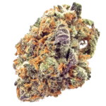 Sativa Weed Strains