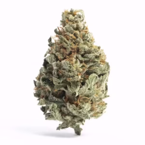 Gorilla Glue